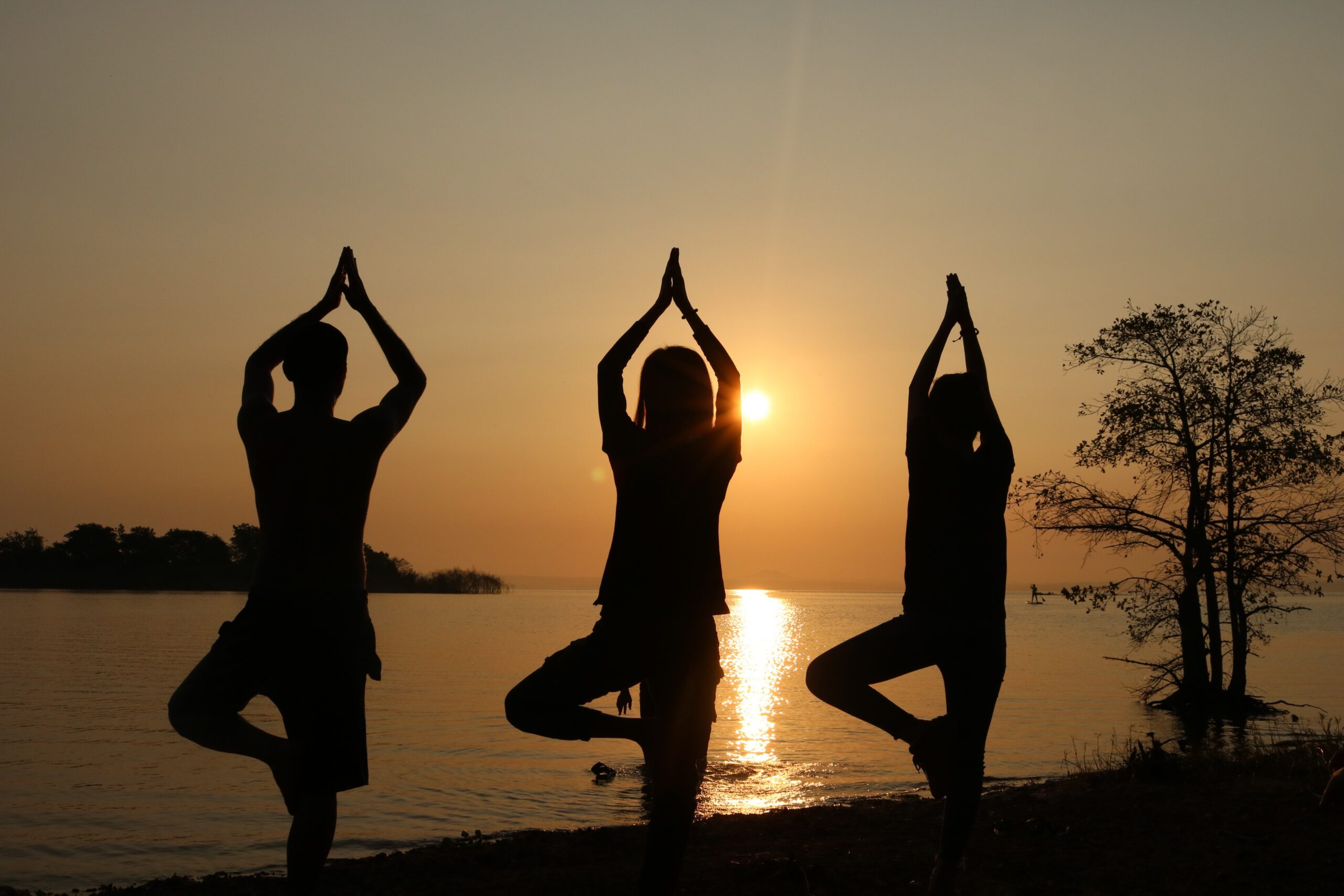 Yoga and Exercise