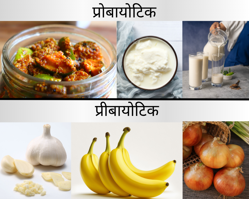 गट हेल्थ सप्लीमेंट्स