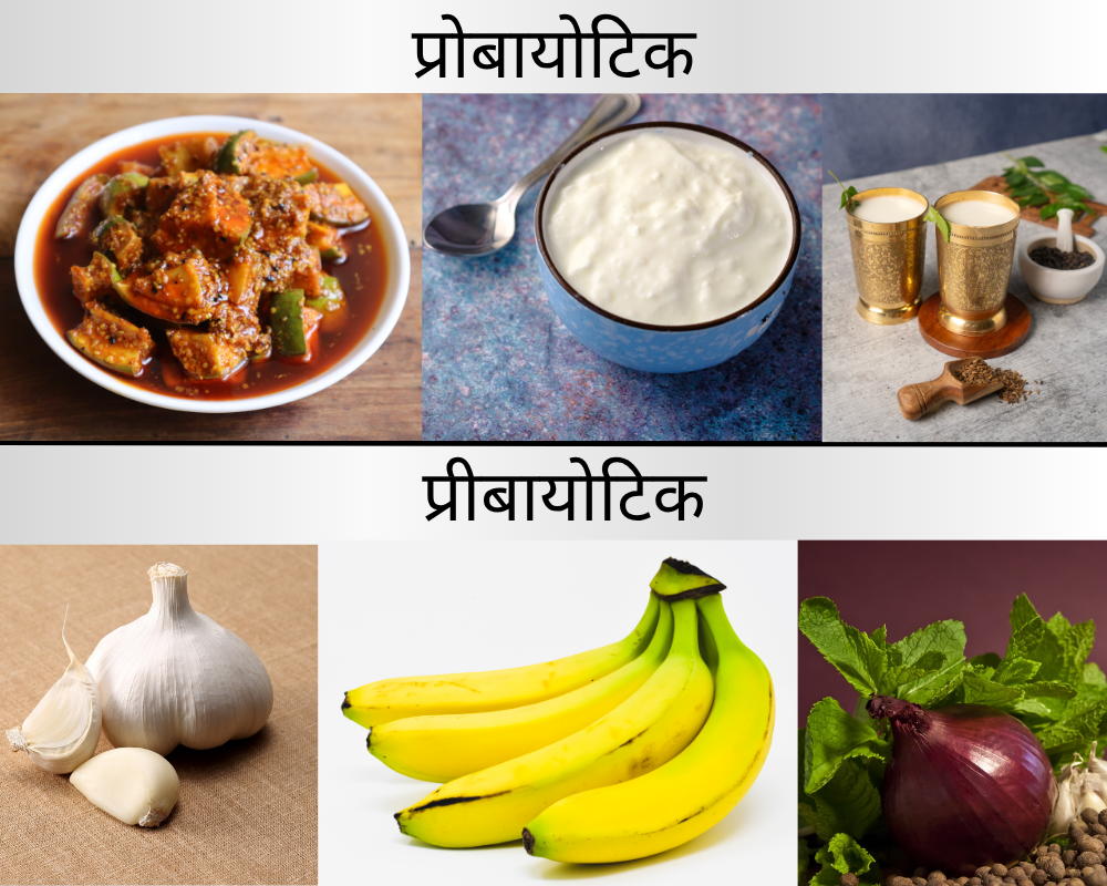 गट हेल्थ सप्लीमेंट