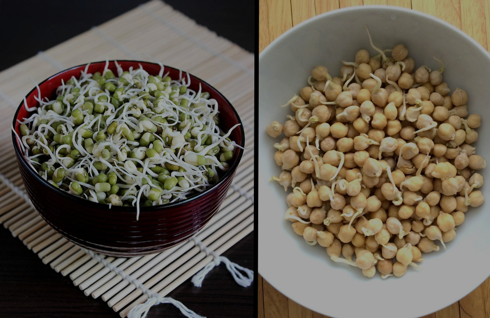 रॉ वीगन मील्स