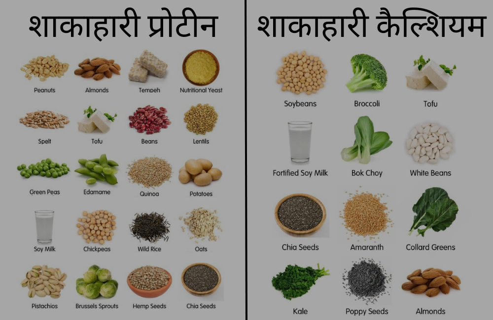 रॉ वीगन मील्स