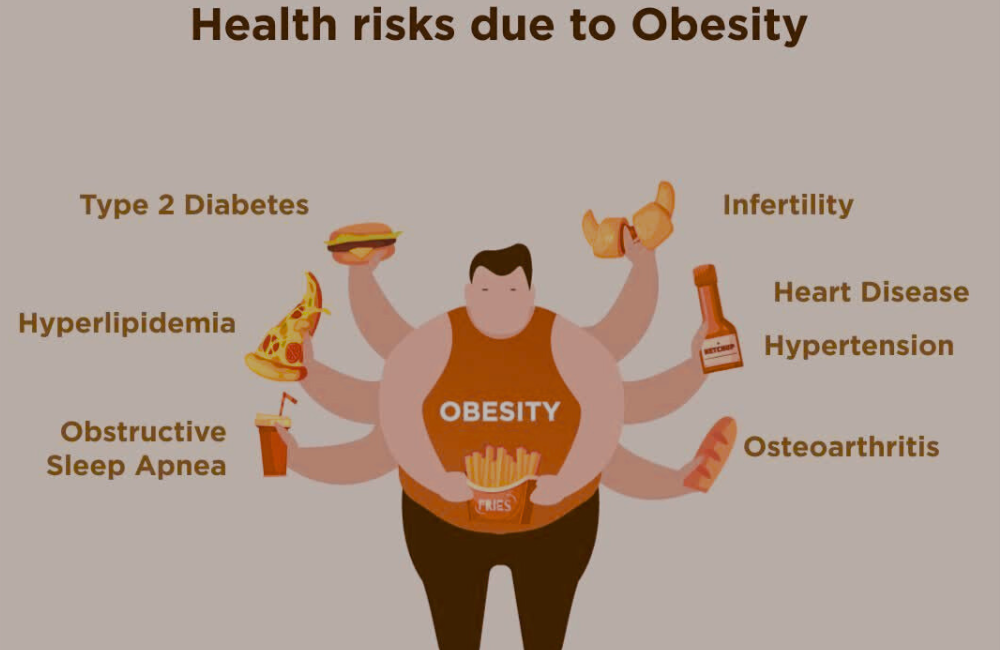 रॉ वीगन मील्स