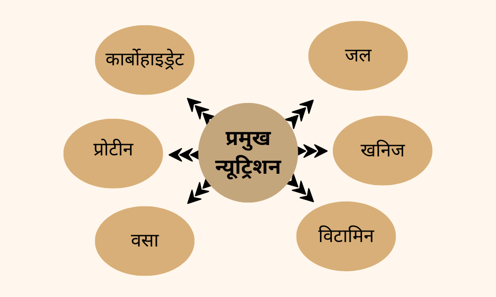 न्यूट्रिशन एंड वेलनेस