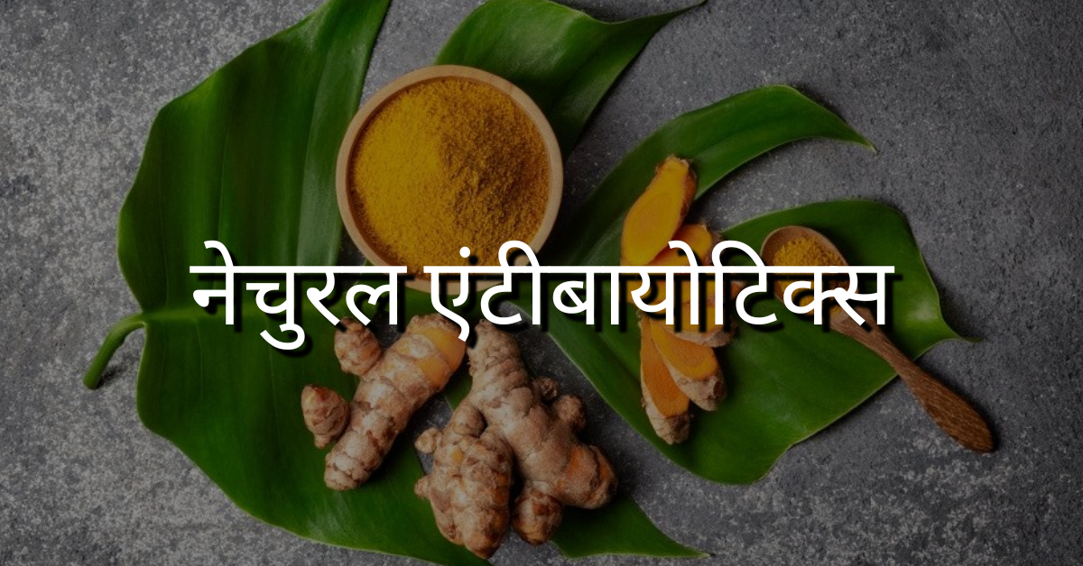 नेचुरल एंटीबायोटिक्स