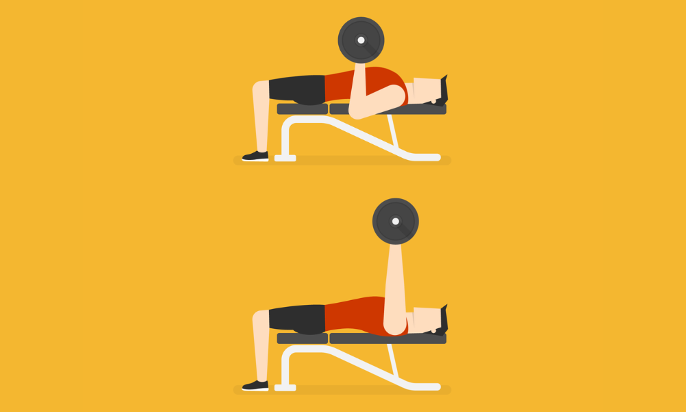 Chest Dumbbell Exercises