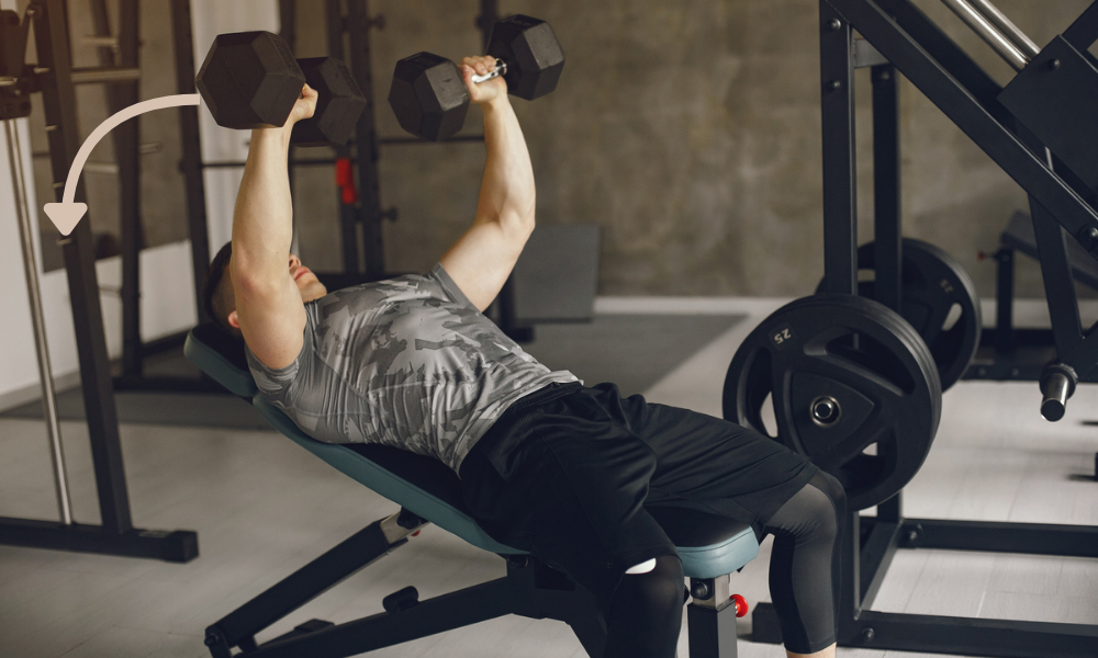 Chest Dumbbell Exercises