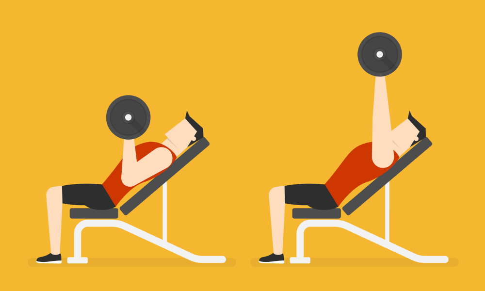 Chest Dumbbell Exercises