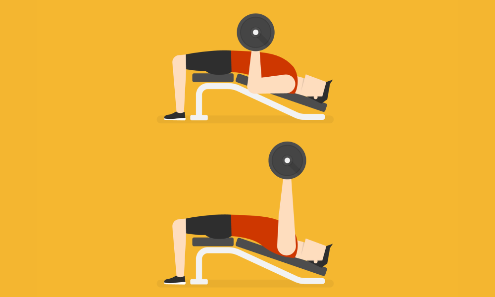 Chest Dumbbell Exercises