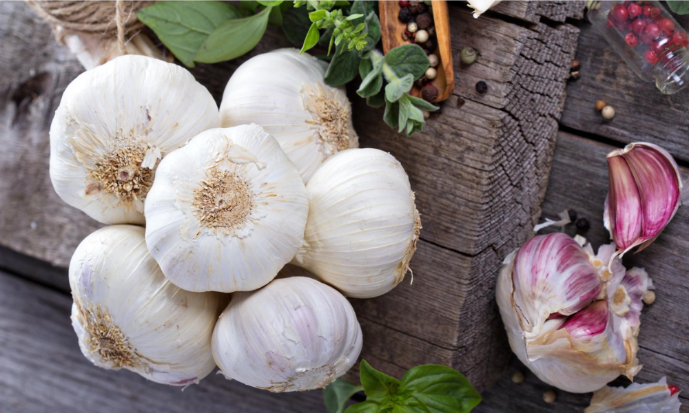 Natural Antibiotics for Tooth Infection