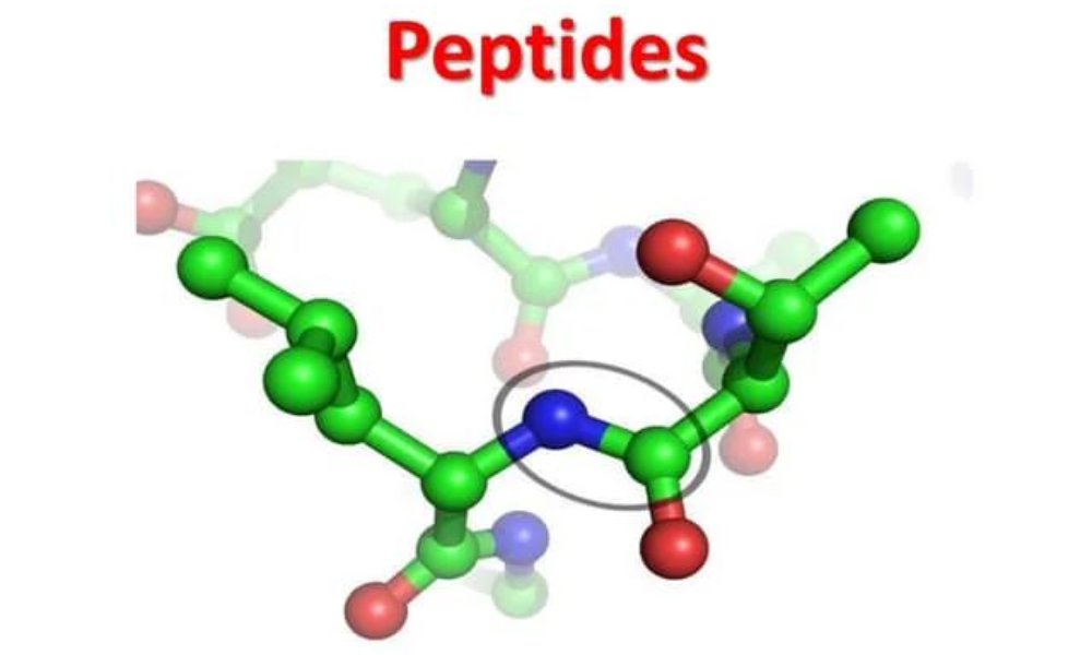 Peptide Sciences